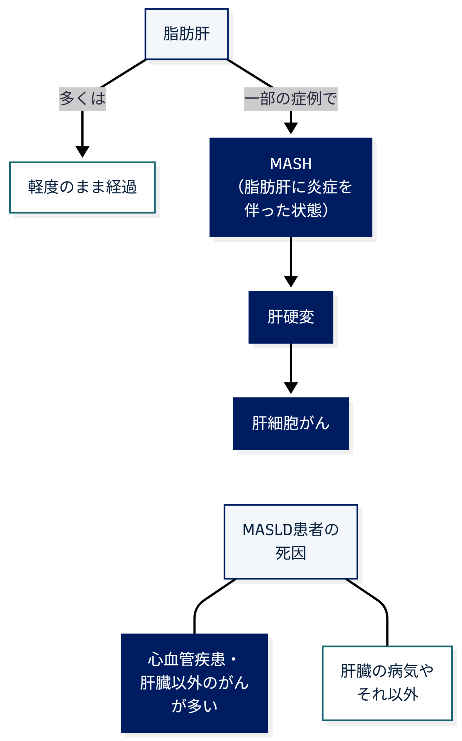 脂肪肝を放置すると一部の症例でMASH・肝硬変・肝細胞がんへ進行しうること、MASLD患者の死因は肝臓の病気そのものよりも心血管疾患や肝臓以外のがんの方が多いことを示した図