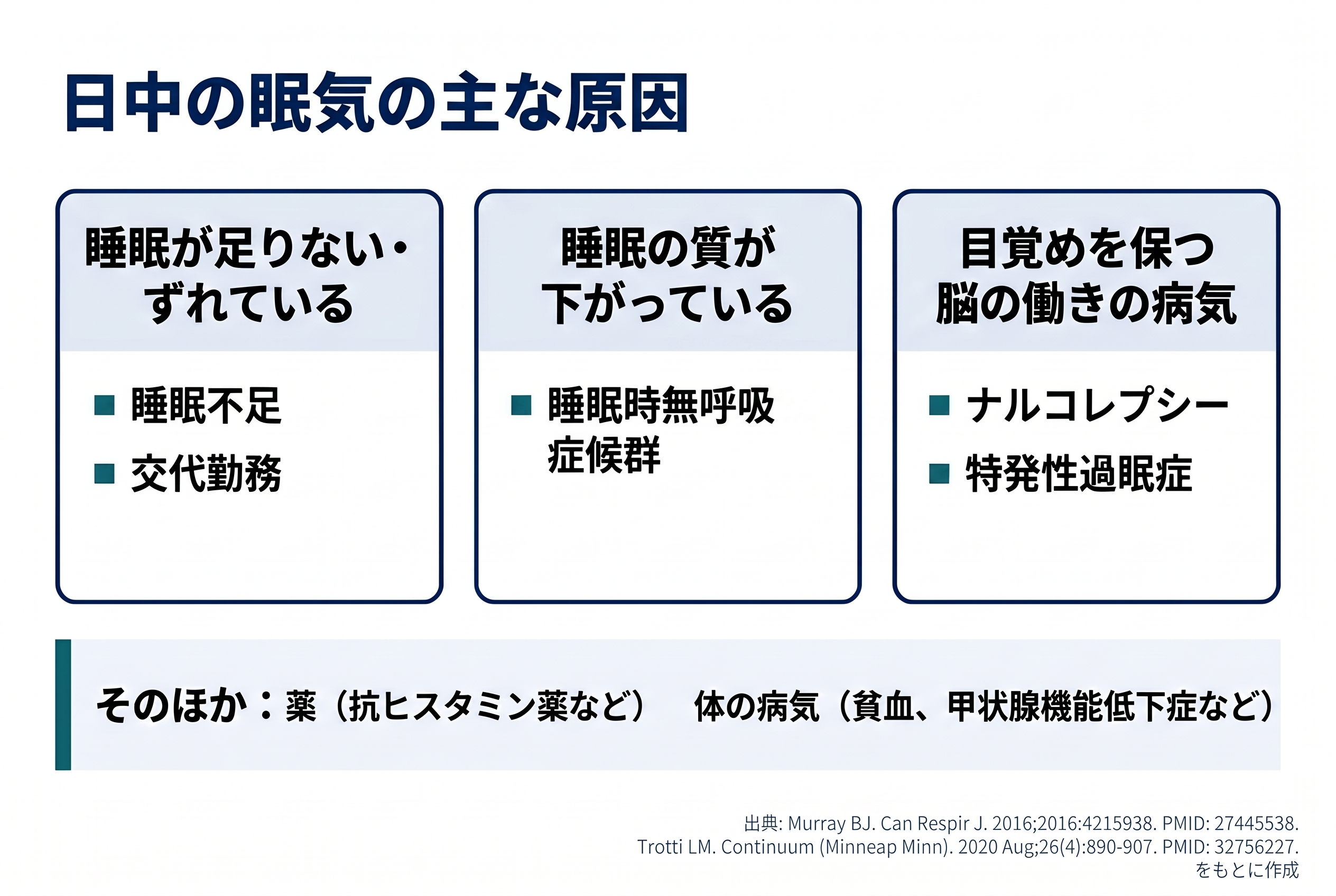 日中の眠気の主な原因を分類した図。睡眠が足りない・ずれている（睡眠不足、交代勤務）、睡眠の質が下がっている（睡眠時無呼吸症候群）、目覚めを保つ脳の働きの病気（ナルコレプシー、特発性過眠症）の3つと、そのほかに薬（抗ヒスタミン薬など）と体の病気（貧血、甲状腺機能低下症など）。